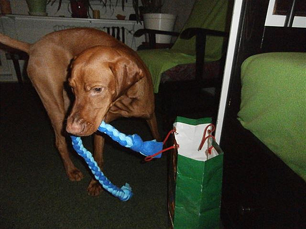 6 �tajn s dal�ím dáre�kem