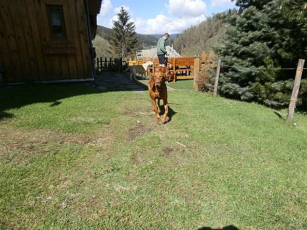 U� letím, pán�i�ko!