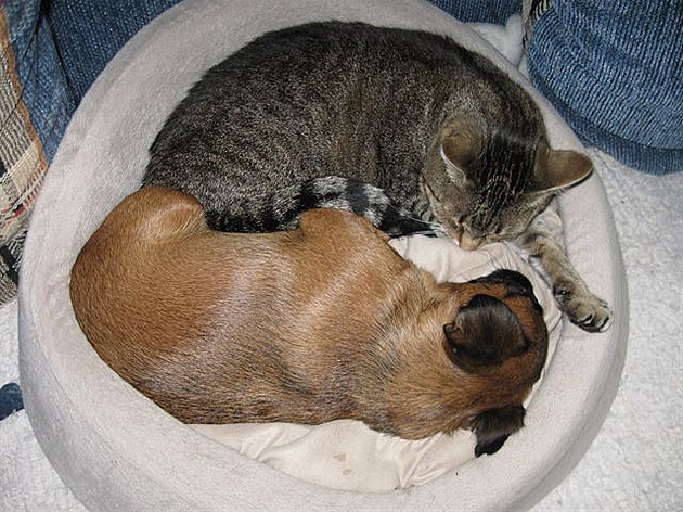 Iris a Mandy