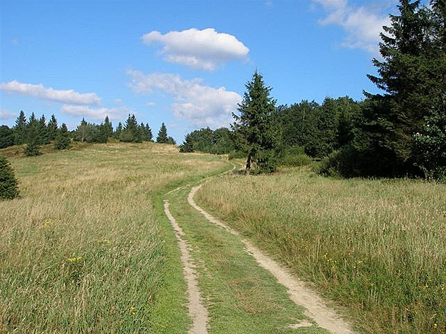 Skute 2012