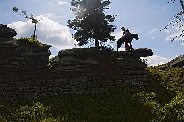 19 - chová se jak kamzík (ten pes)