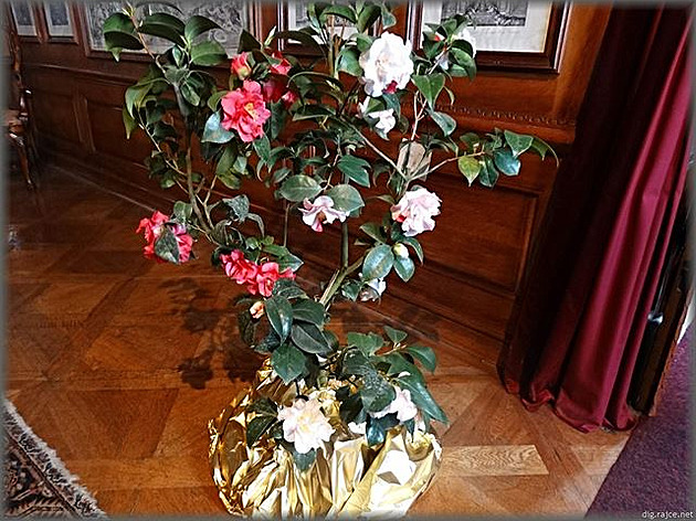 Výstava na zámku Rájec-Jest�ebí