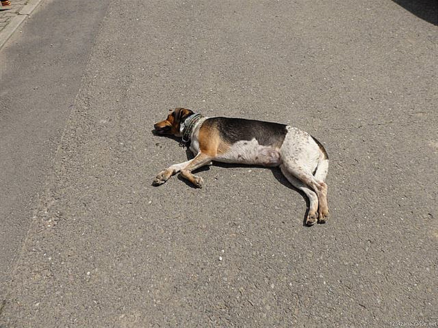 12. Kdo a kde to je?