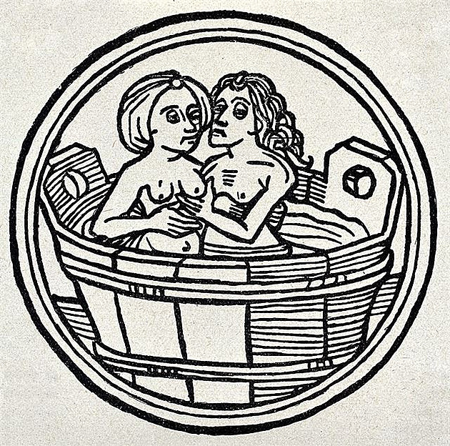 Reprodukce d�evo�ezby, 1495