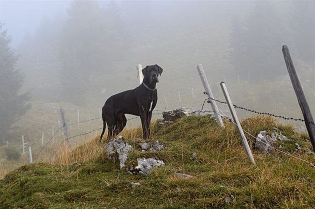 Heuberg: ale nad 1500 metr se zaalo prosvtlovat