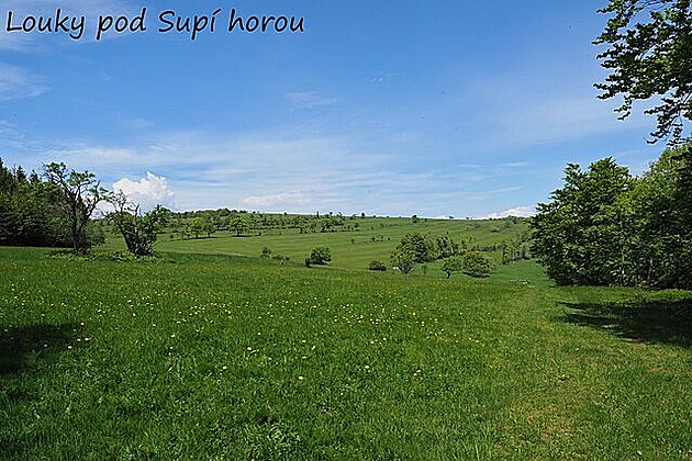 Louky pod Supí horou