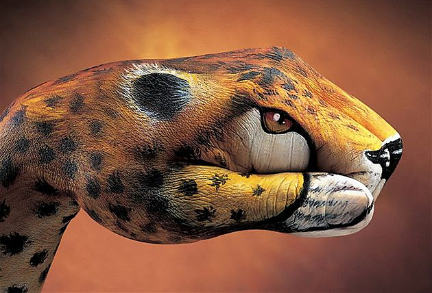 handpainting - gepard