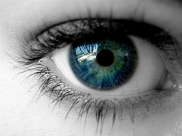 eye