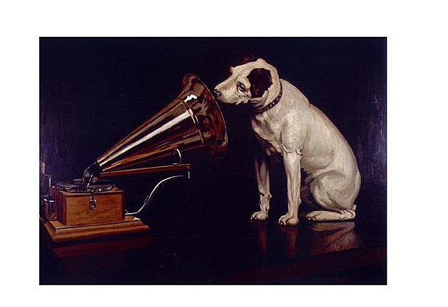 gramofon