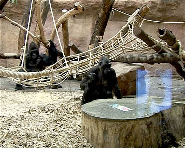 v�ichni koukají na televizi