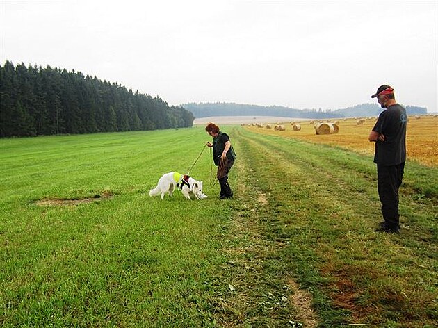 Nasumování z pachového pedmtu leícího na zemi - Ari to tak má radi