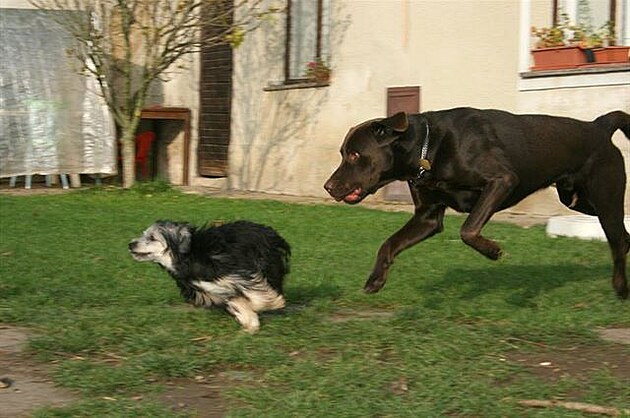 Bonnie a Barney