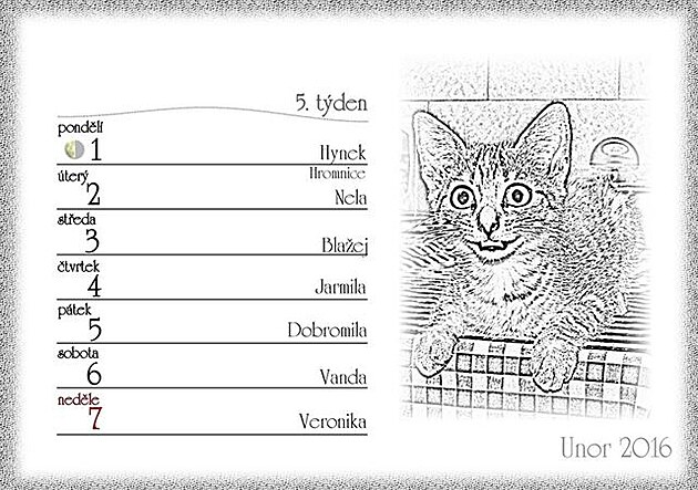 2 Dobroinný kalendá 2016 pro útulek Koií nadje