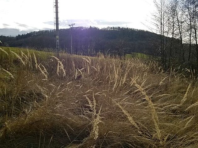 2 Libhoská hrka, pohled od severozápadu