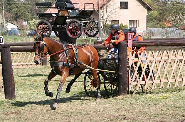 15  Rudolfv pohár v Kladrubech