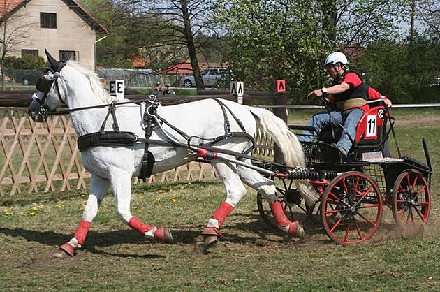 17  Rudolfv pohár v Kladrubech