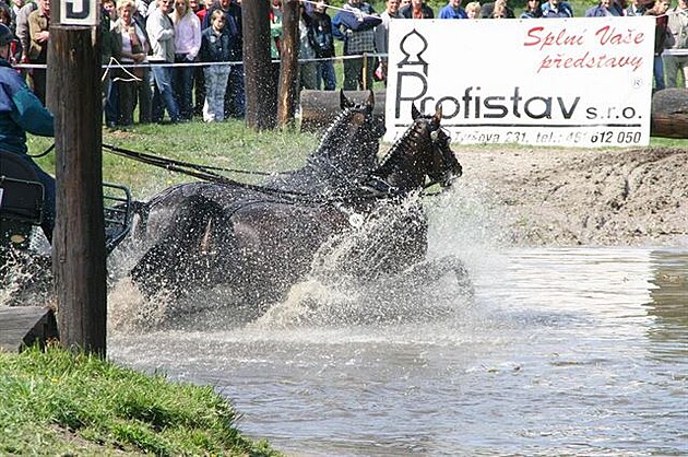 29 Rudolfv pohár v Kladrubech