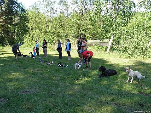 2013 - Kivonoska u Hluboké, moc hezké místo