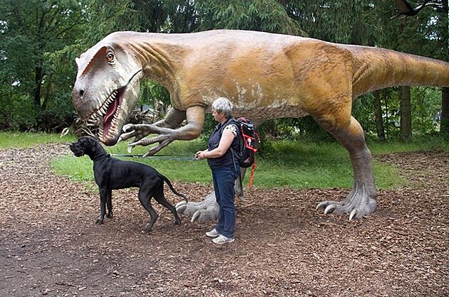 Dinopark - doga je malý pes