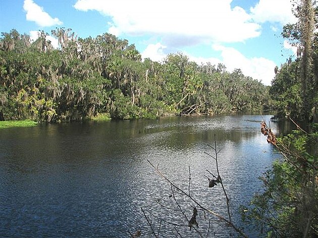 St. Johns River na Florid, kde je rezervace pro kapustáky