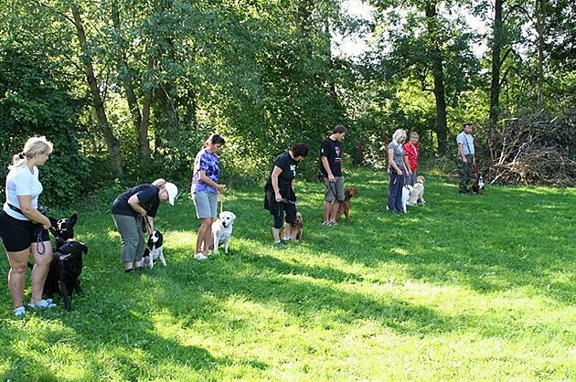 Bijou ve kole tátek