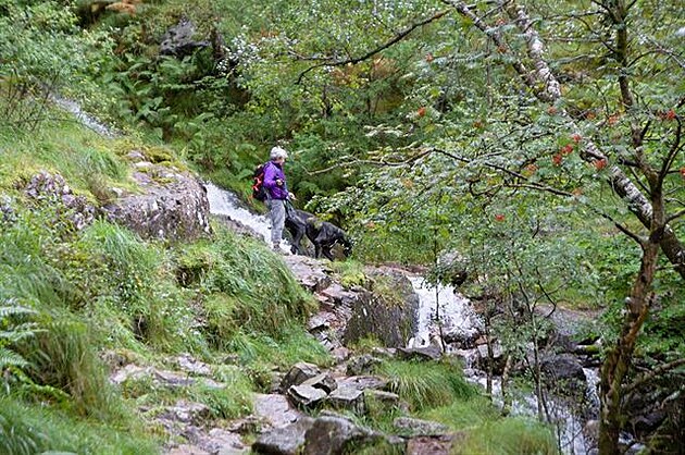 8 - Glen Nevis - voda je vude