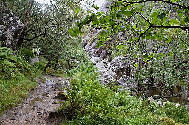 10 - Glen Nevis - chvílemi lesem