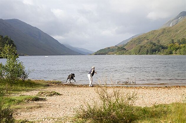 39 - Glenfinnan - psisko loví míek