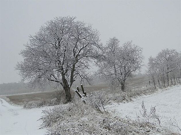 Zima na jiní Morav
