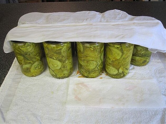 První várka bread and butter pickles - amerických sladkokyselých okurek