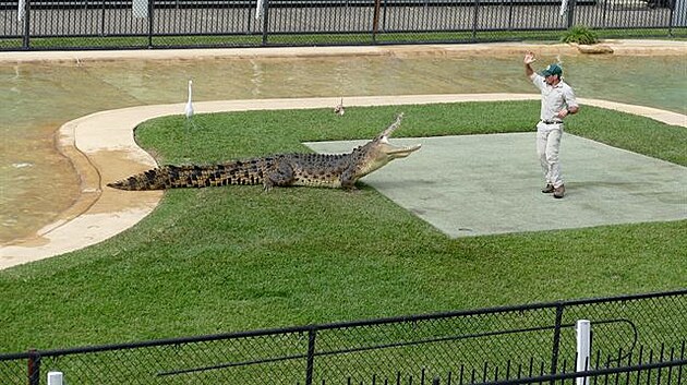 Australia Zoo. Krmení krokodýla. (Výlet do Austrálie)