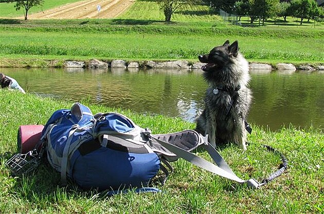 Dogtrek - batoh váí jako Feri. Vlí pic.