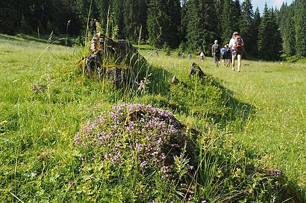 Apuseni - voní tu mateídouka. (Pky Rumunskem, 2016)