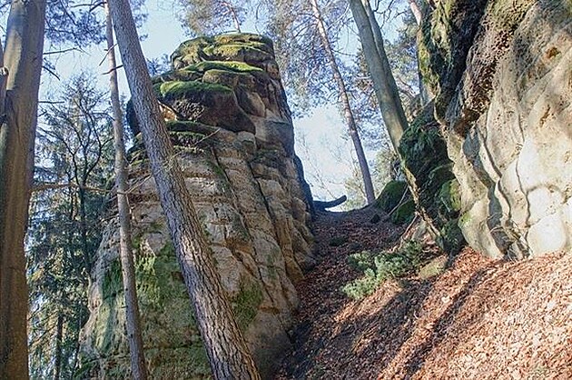 Do Popelova. Ralská pahorkatina