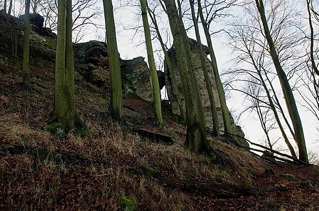 Malá Buková. Ralská pahorkatina