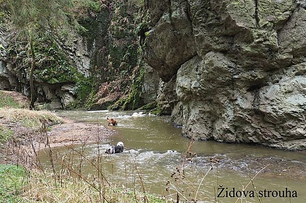 Dovolená Vlkov, bezen 2017