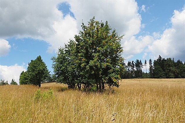 Cesta na Králický Snník, 2016