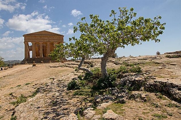 Cesta na Sicílii. Agrigento - je to jedna z nejlépe zachovalých staroeckých...