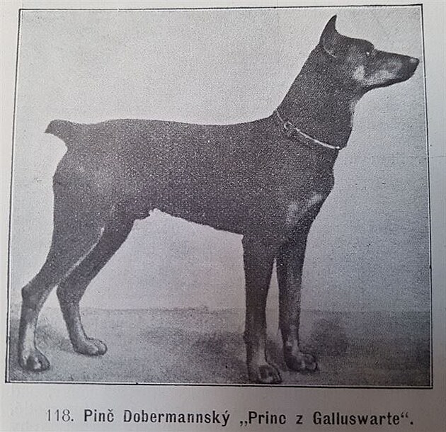 Z knihy Vecky druhy ps, autor Václav Fuchs, Praha 1903