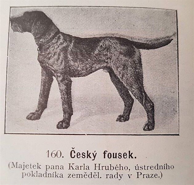 Z knihy Vecky druhy ps, autor Václav Fuchs, Praha 1903