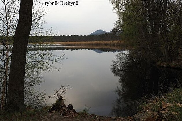 Rybník Behyn (Máchv kraj, Velikonoce 2017)