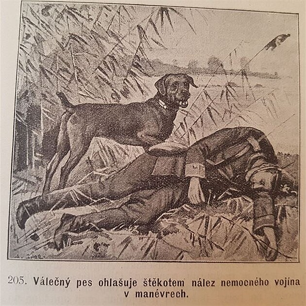 Vecky druhy ps, autor Václav Fuchs, Praha 1903