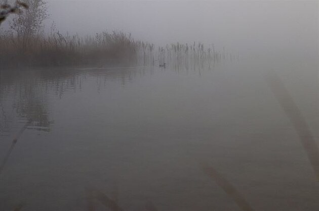 Walchsee ráno: mlha byla hustá tak, e by se dala krájet, a moná jet víc...