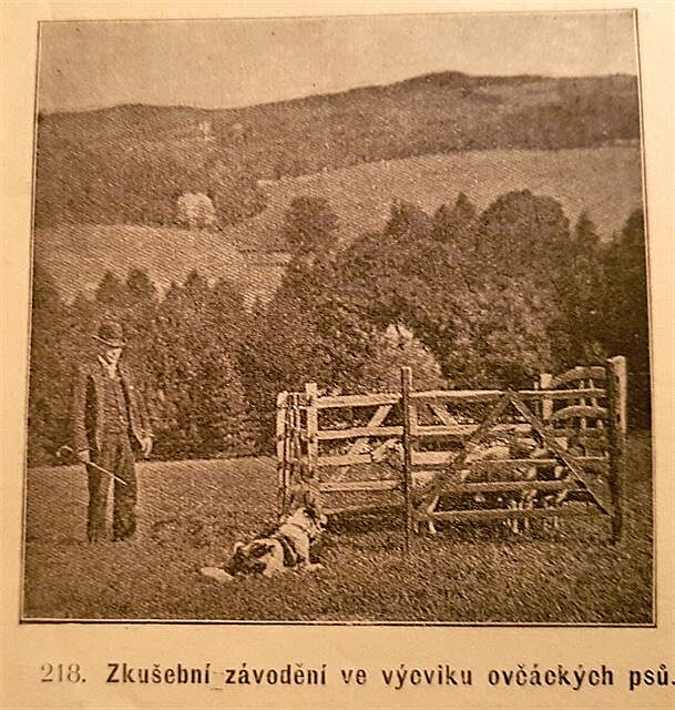 Z knihy Vecky druhy ps, Václav Fuchs, 1903