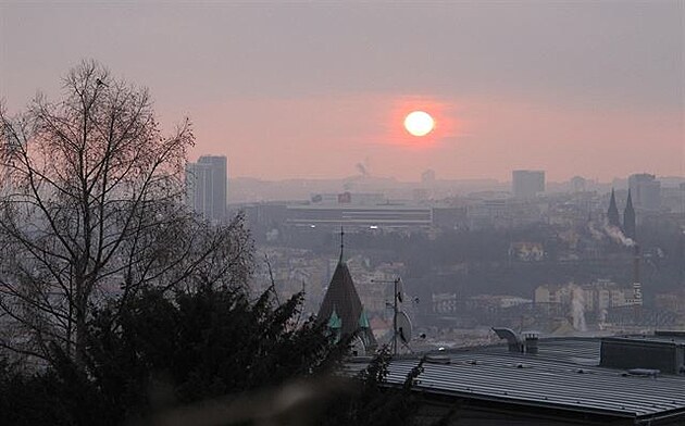 Ranní slunce, 23. 1. 2019, zahrada v Praze