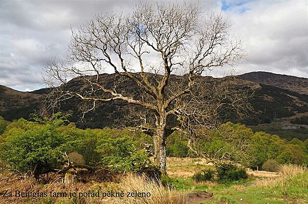 Za Beinglas Farm. West Highland Way.