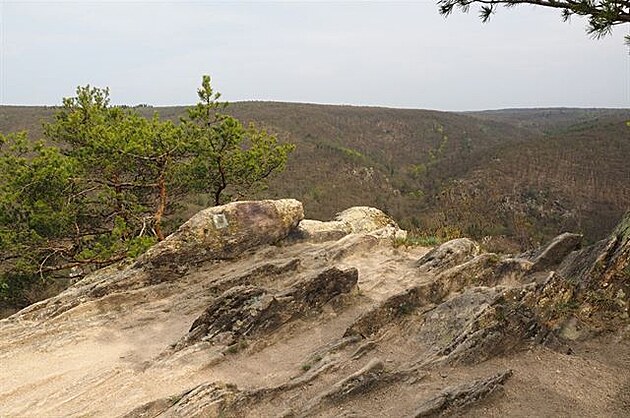 Sealsfieldv kámen. Národní park Podyjí, duben 2018