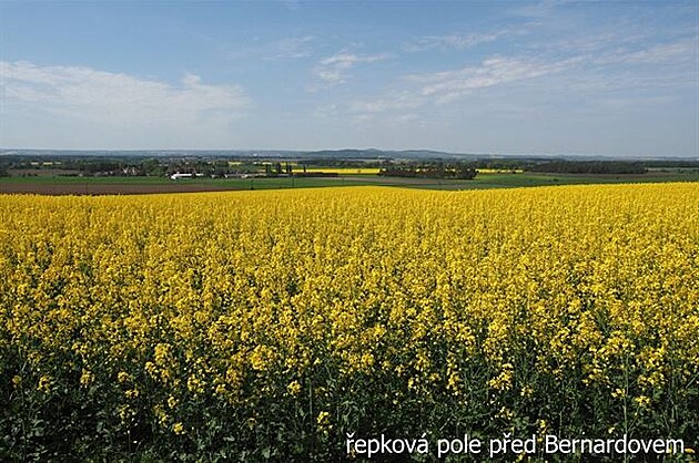 epková pole ped Bernardovem. Vandr elezné hory, duben 2018