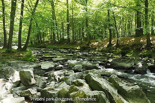 Pírodní park Doubrava, Temonice. Vandr elezné hory, duben 2018