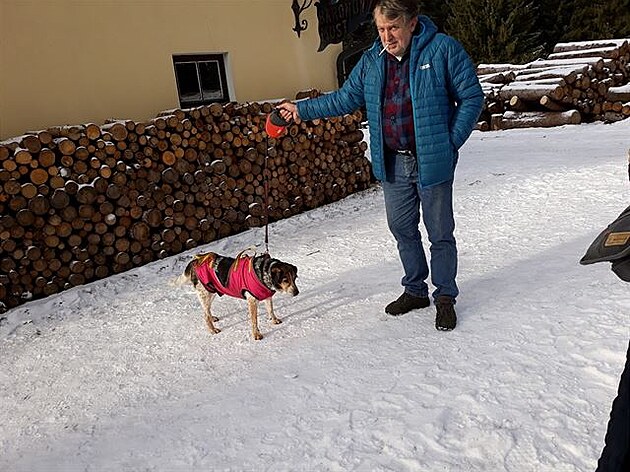 Bony v Novohradských horách, na pelomu roku 2019/20. eský strakatý pes
